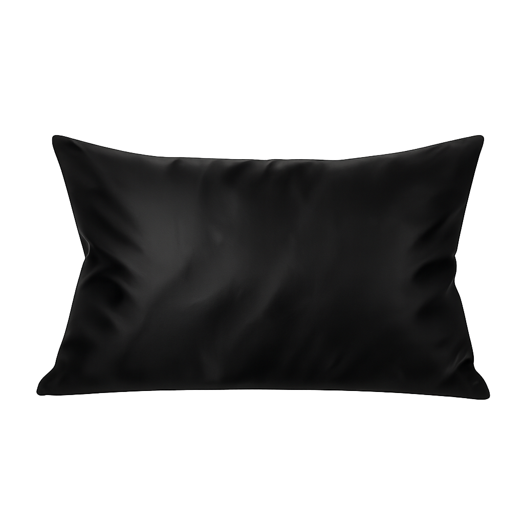 Pillowcase 100% Mulberry Silk – Midnight Black